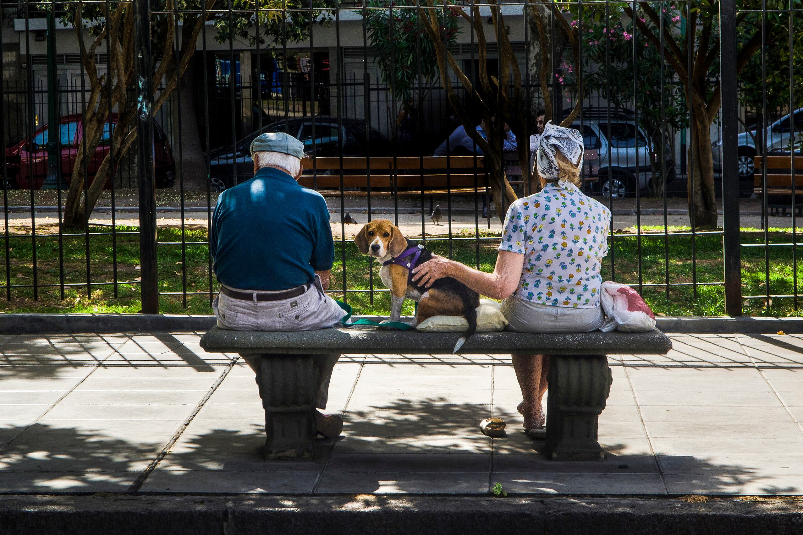 En lo que va del año, la suba de jubilacione se ubica apenas por encima de la inflación.