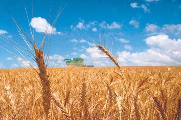 Los productos agropecuarios subieron 31,9 por ciento en doce meses.