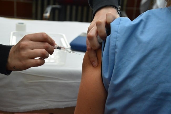 Dengue: comenzó la campaña de vacunación en la provincia de Buenos Aires