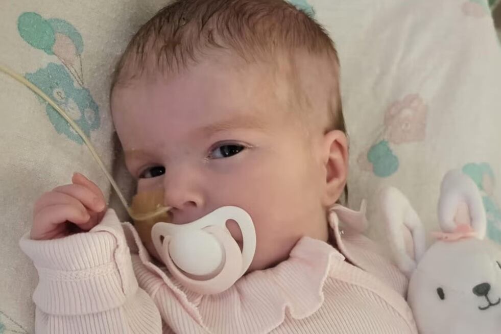 Los padres de la niña han apelado ante el Tribunal Superior de Londres para que se le permita llevarla a Italia