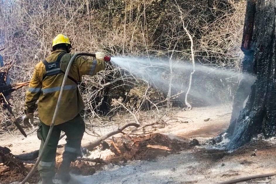 El fuego queda latente en los troncos.