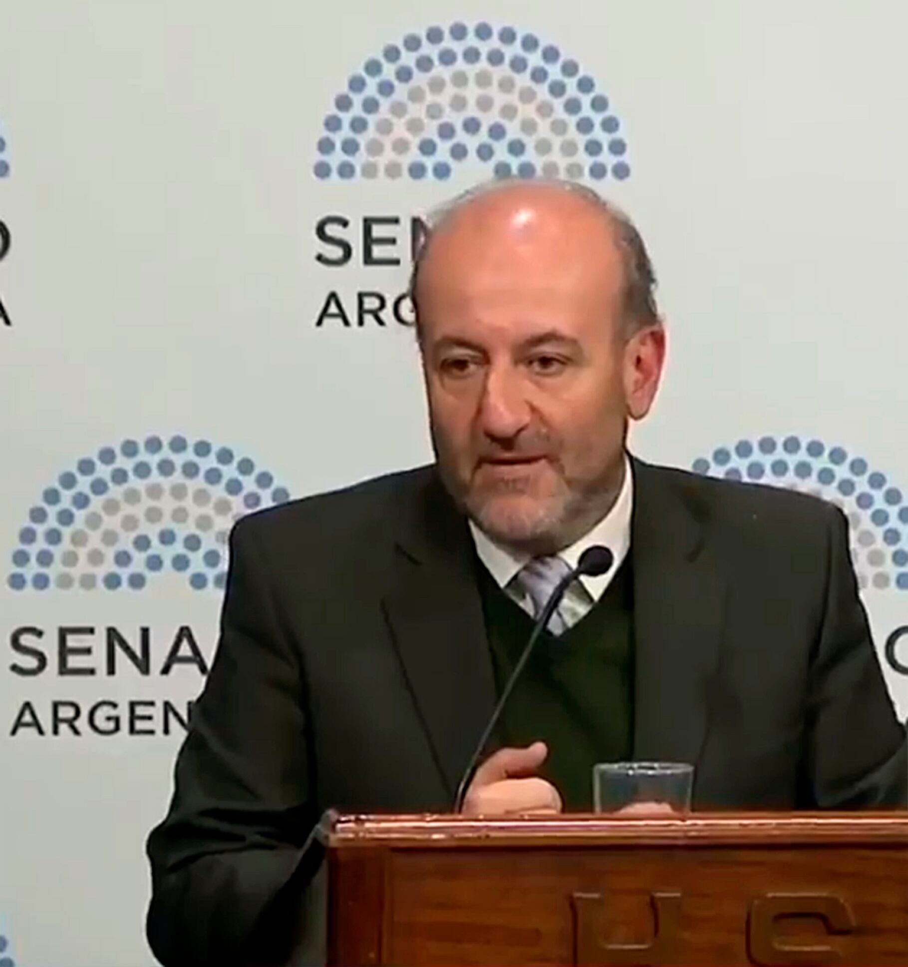 Caruana llevó al Senado los argumentos a favor de la legalización.