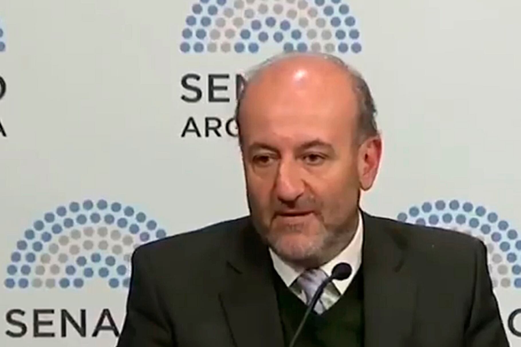 Caruana llevó al Senado los argumentos a favor de la legalización.