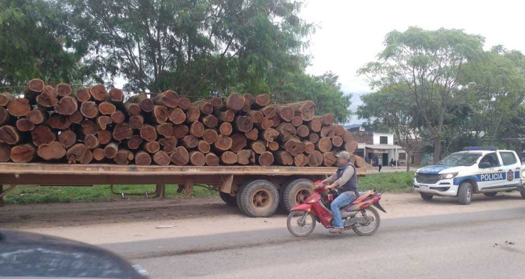Palos de cebil secuestrados