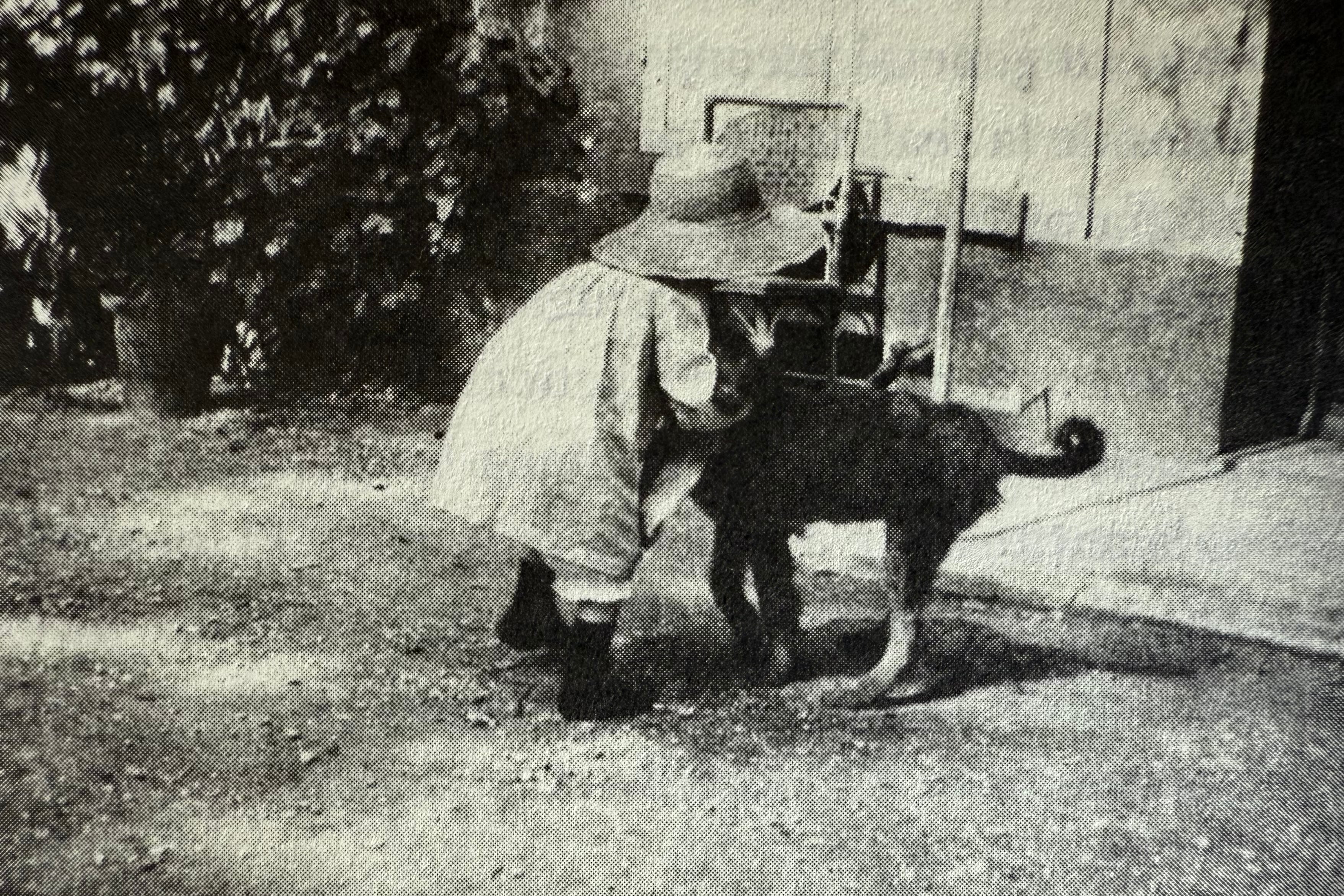 Fotografía de Pierre Bonnard -gentileza Editorial Ripio-