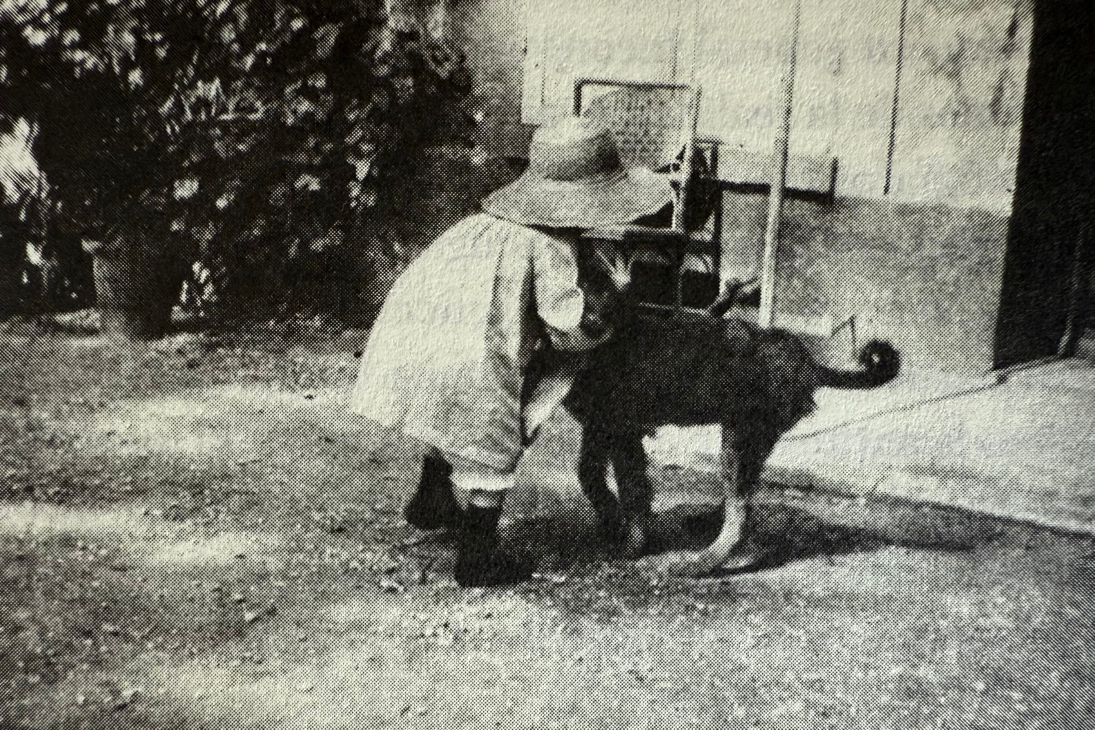 Fotografía de Pierre Bonnard -gentileza Editorial Ripio-