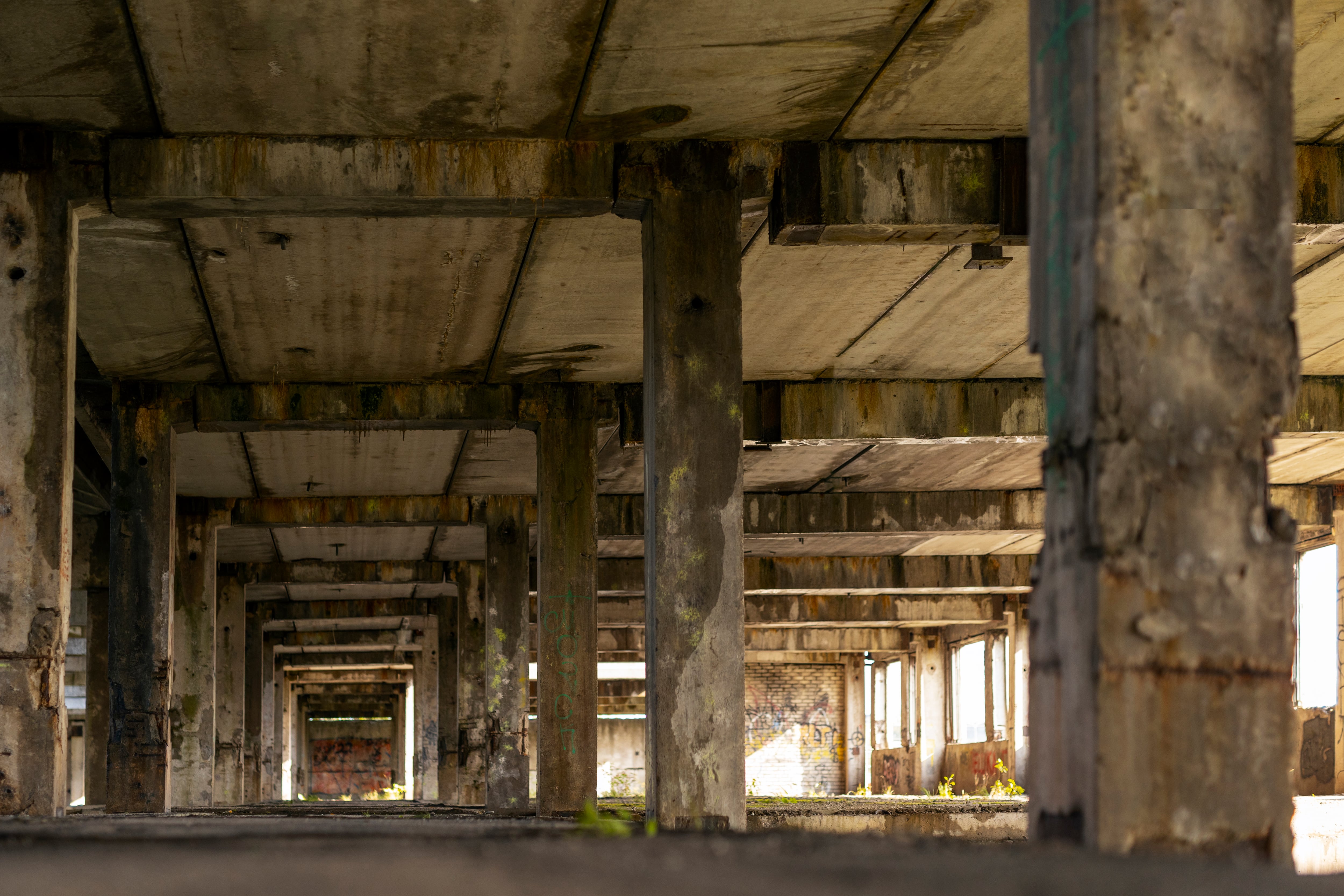 Sin fábricas, se pone el riesgo el talento y el conocimiento argentino.