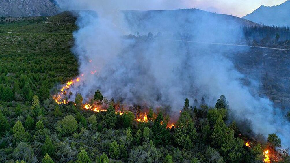 El incendio ya destruyó 8 mil hectáreas de bosques.