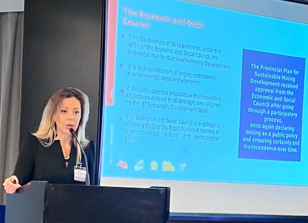 En julio Royón habló del potencial del litio en Salta, en el 3° Congreso Internacional y Exposición Litio America Latina. 