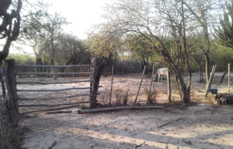 Ingreso al puesto de los Soraire, en el Chaco salteño.