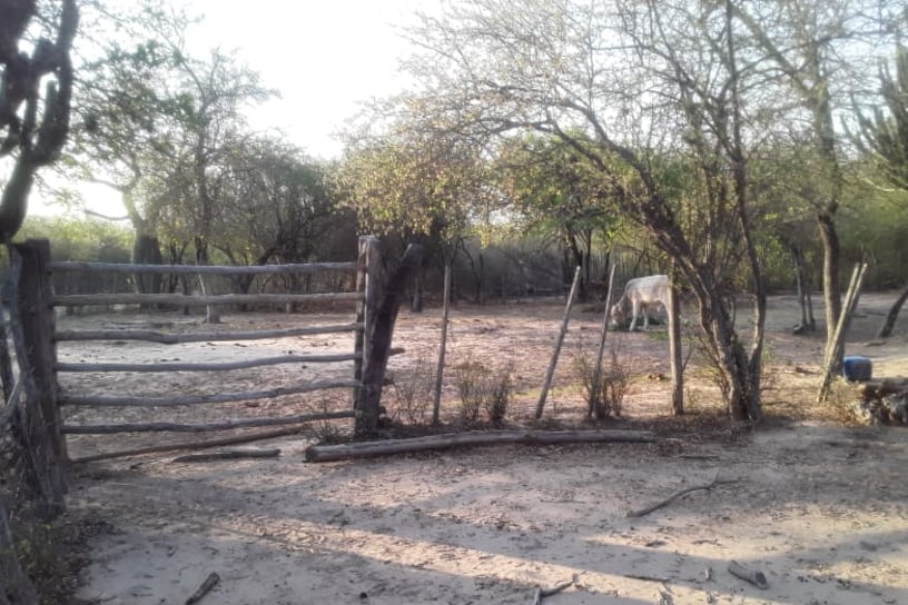 Ingreso al puesto de los Soraire, en el Chaco salteño.
