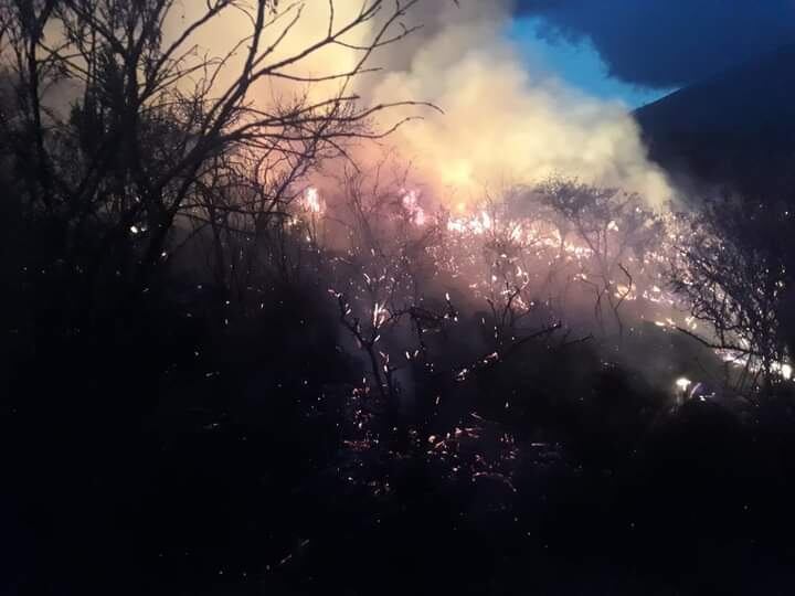 El fuego se expandió campo adentro.