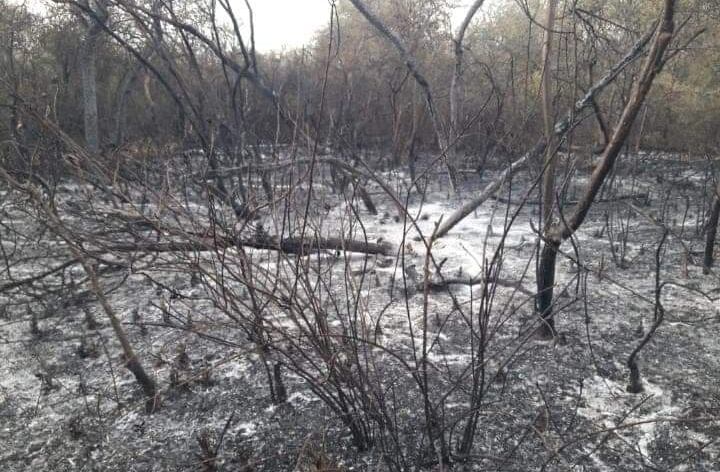 Imágenes tomadas por habitantes del lugar. 