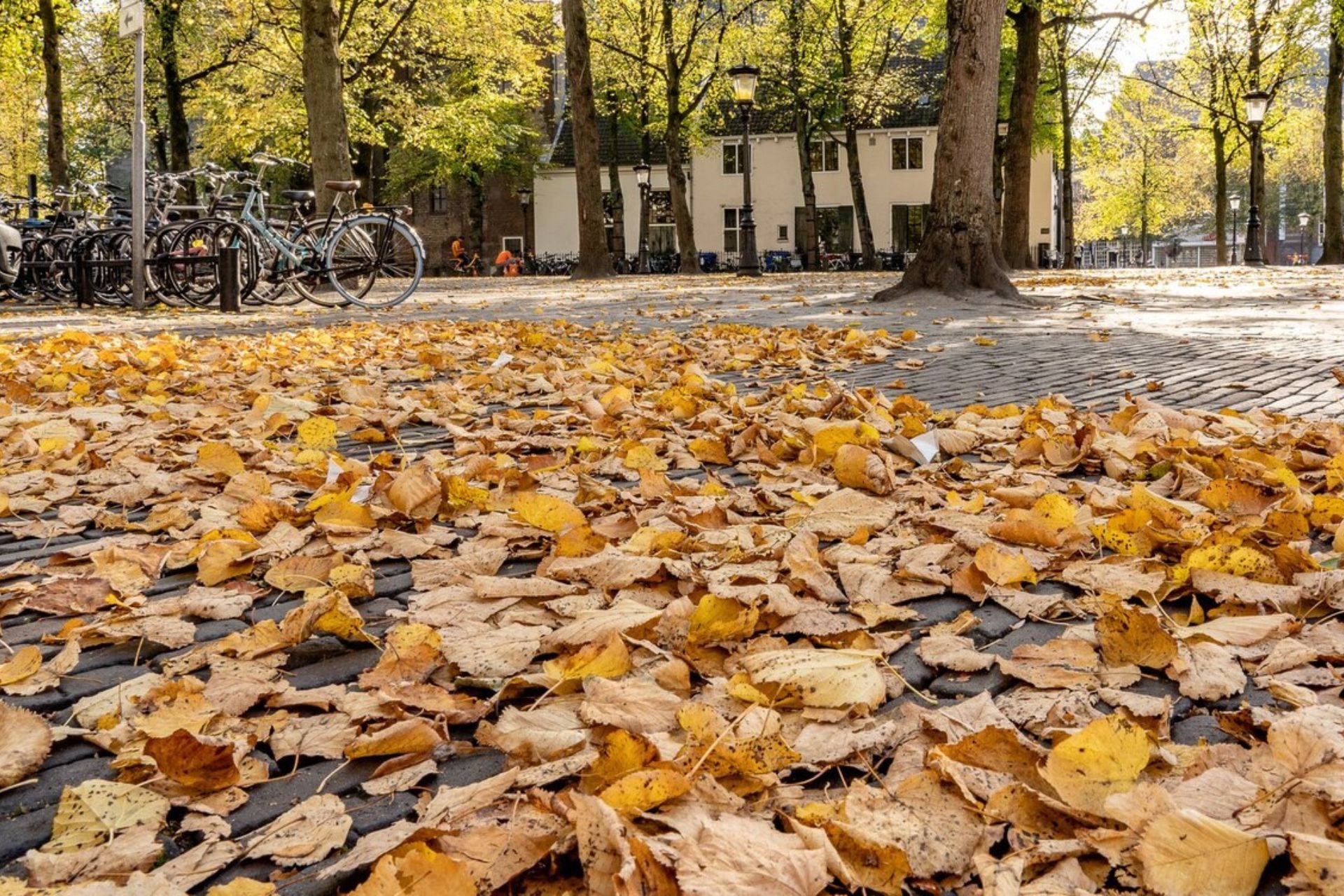 Termina el verano y comienza el otoño