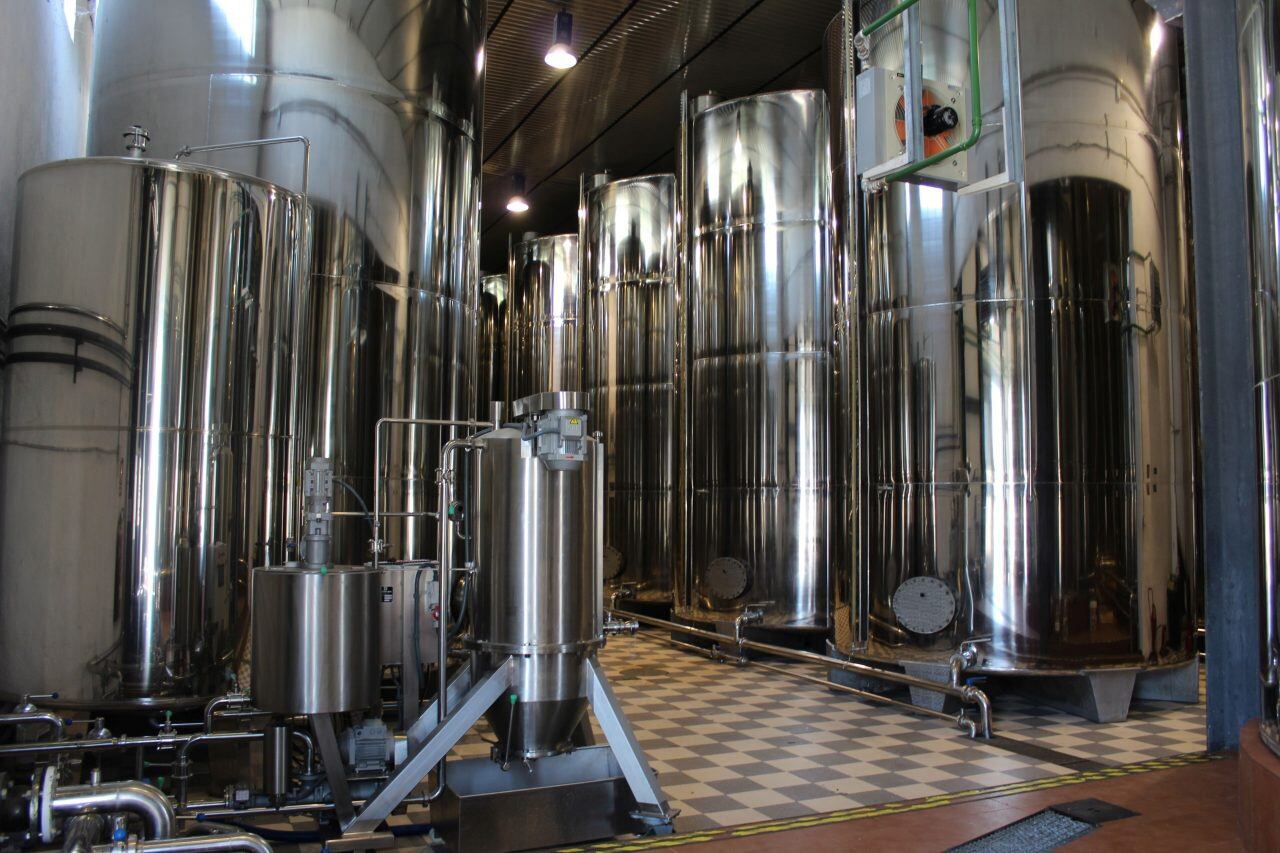 “Tiene que ser un subsidio al consumo masivo, no al premium”, planteó Gustavo Idigoras, de Ciara. En principio sería para el aceite de girasol.