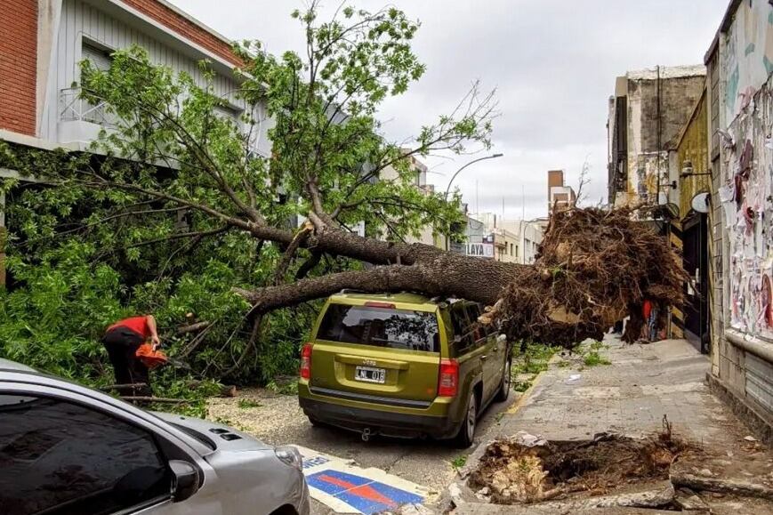 Vientos de gran intensidad provocaron la caída de un árbol en el barrio de Nueva Córdoba de la capital de la provincia mediterránea.
