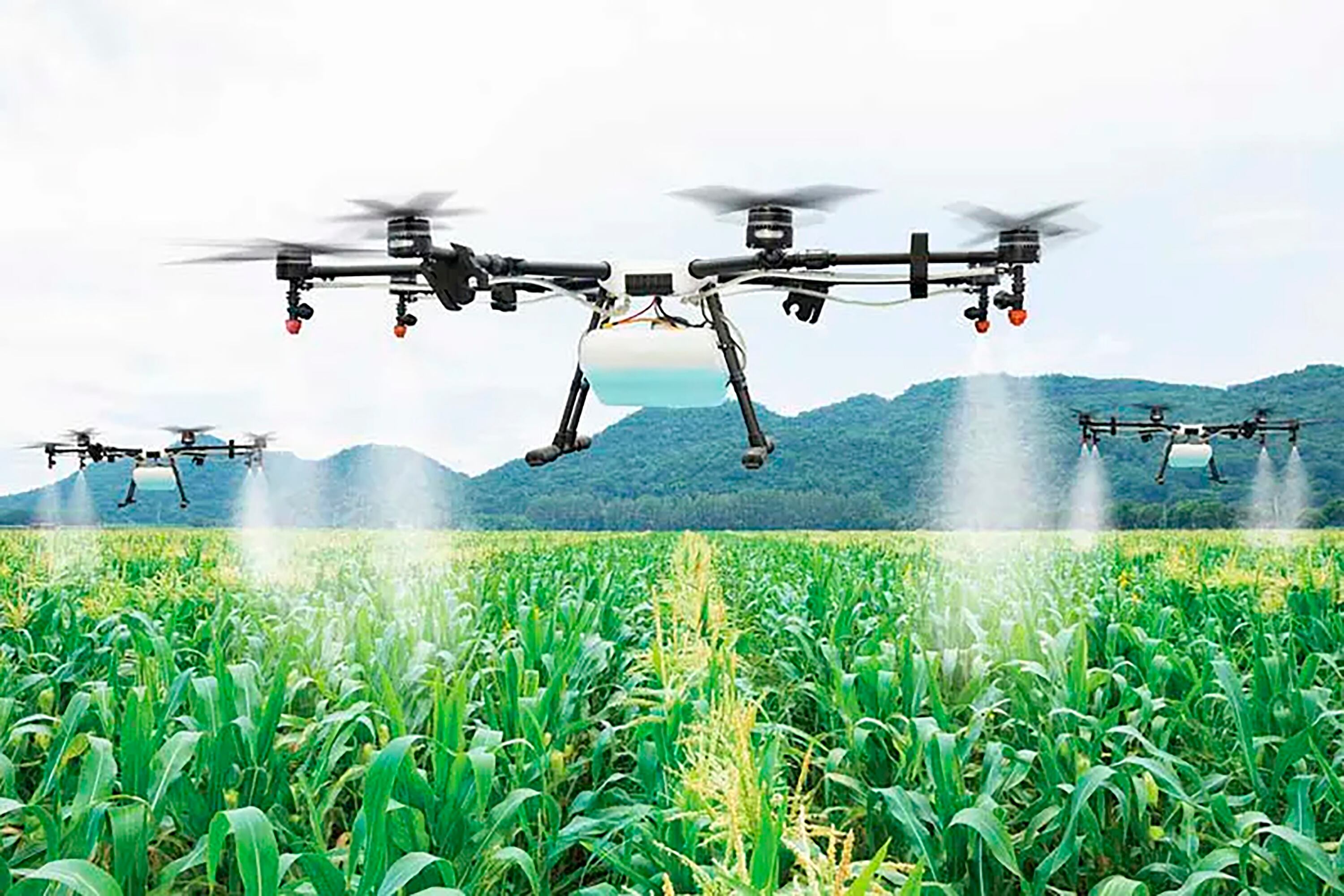 El campo argentino muestra un avanzado nivel de tecnologización.