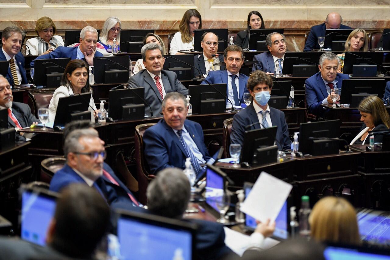 El Senado trata hoy la reforma en un plenario de comisiones.