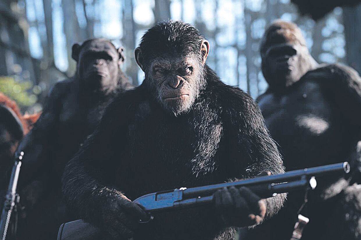 La comunidad simiesca a punto de colapsar bajo el fuego lanzado por soldados “en vías de extinción”.