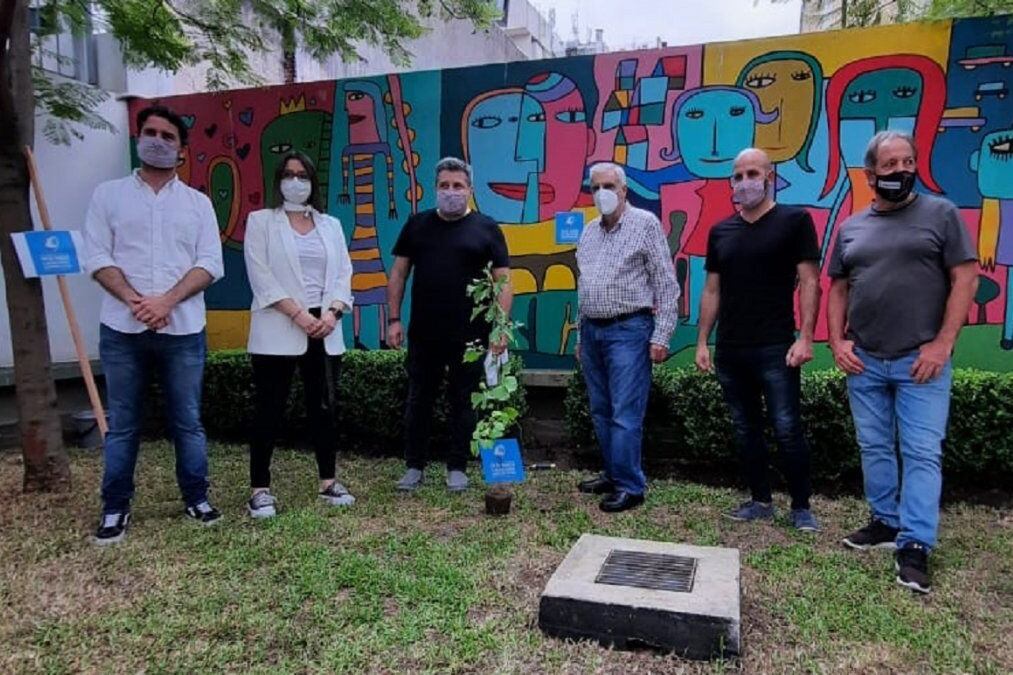 El árbol que se plantó en la UMET por los ajedrecistas desaparecidos.