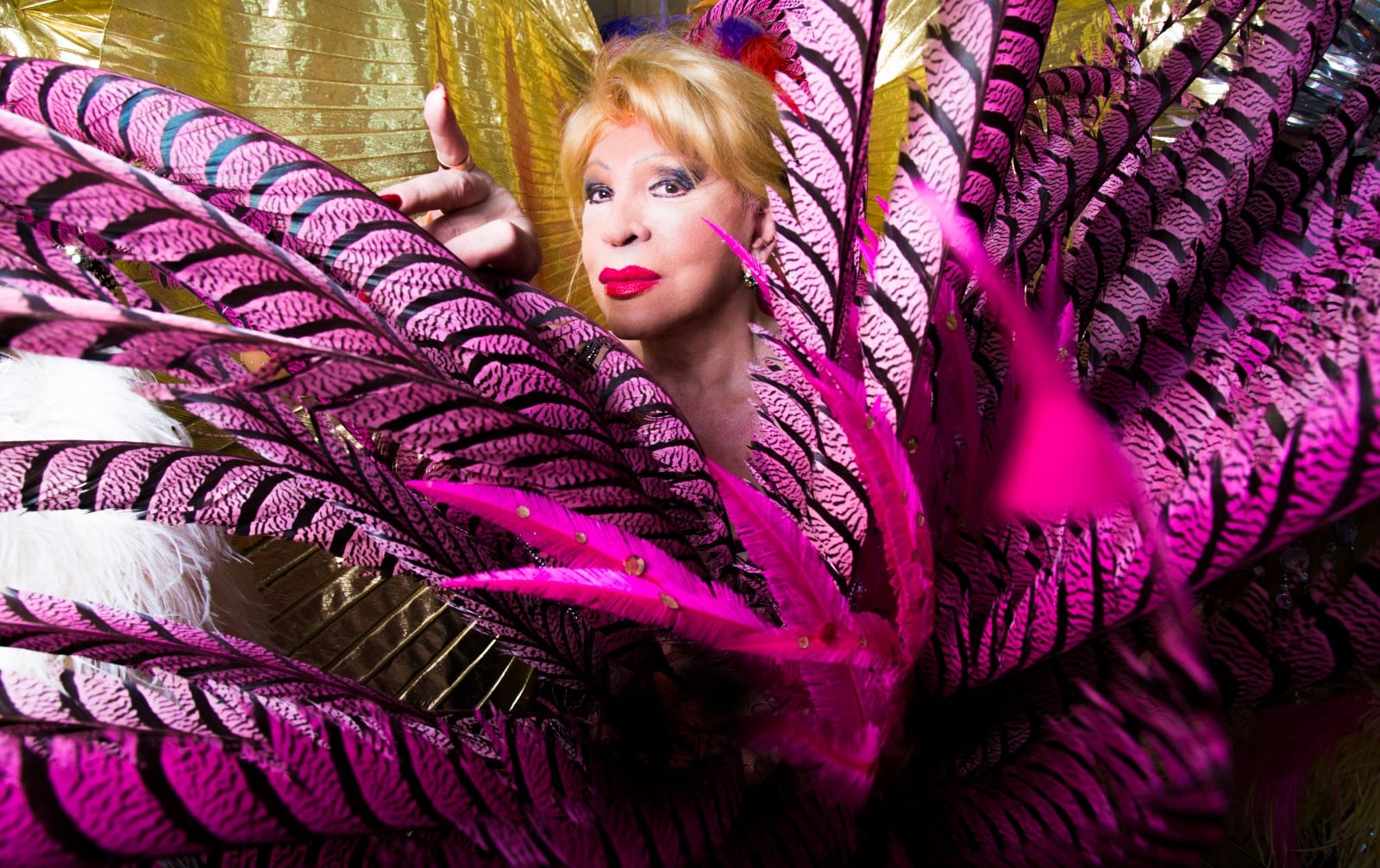 Vanessa Show por Sebastián Freire