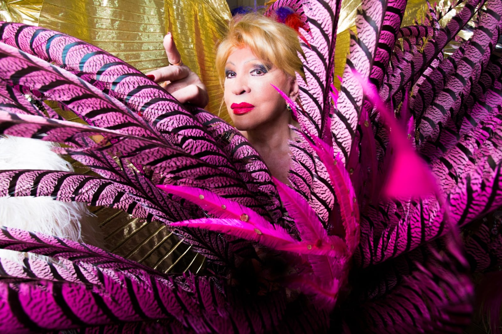 Vanessa Show por Sebastián Freire