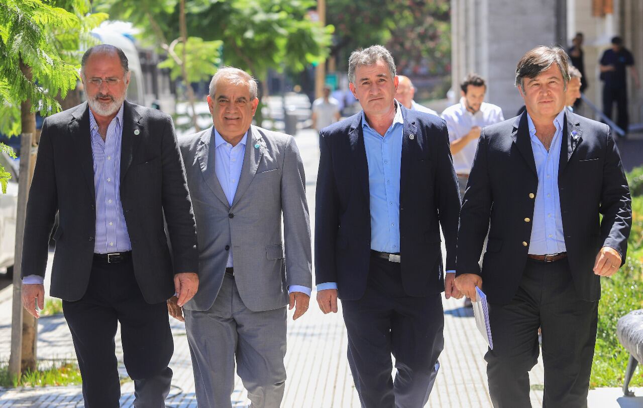 Chemes, Iannizzotto, Achettoni y Pelegrina, las cabezas de la Mesa de Enlace