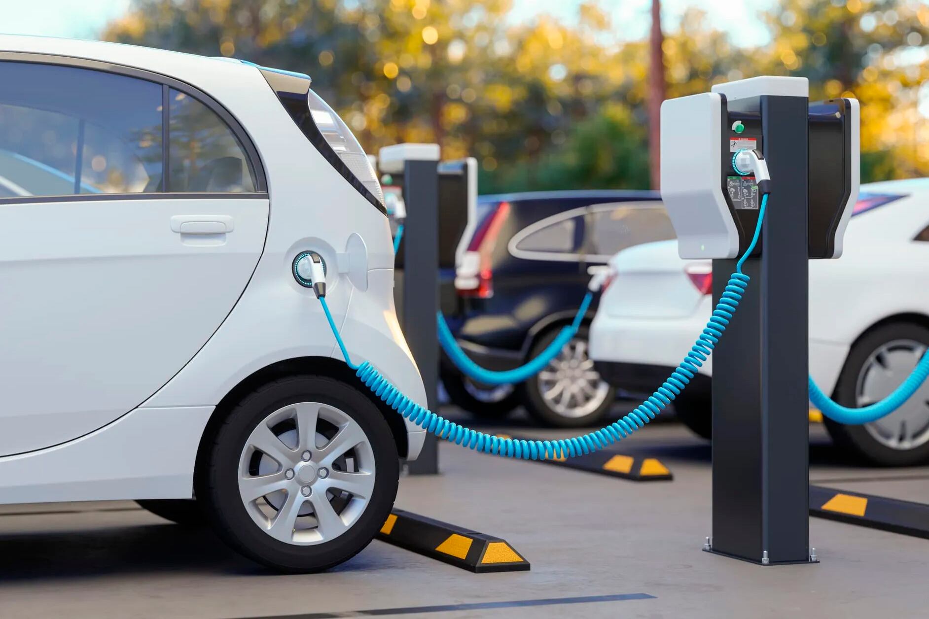 Licitación de autos eléctricos