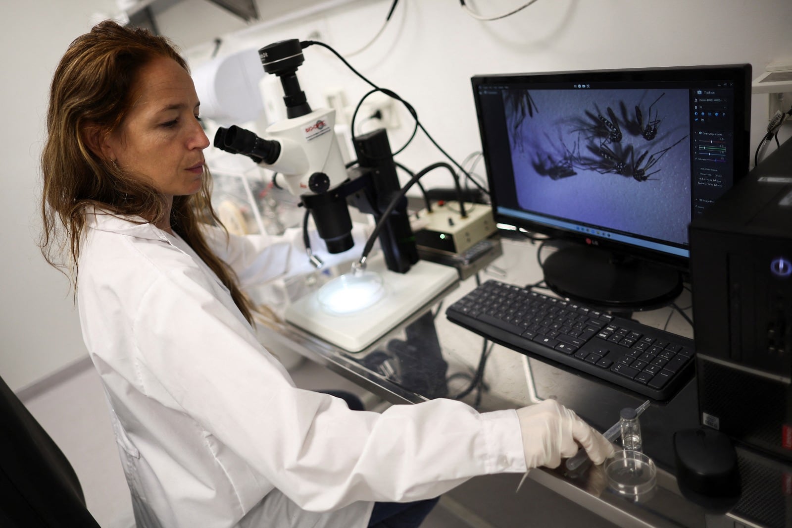 En la última semana de marzo hubo 52 mil nuevos casos y más de treinta muertes por la enfermedad.