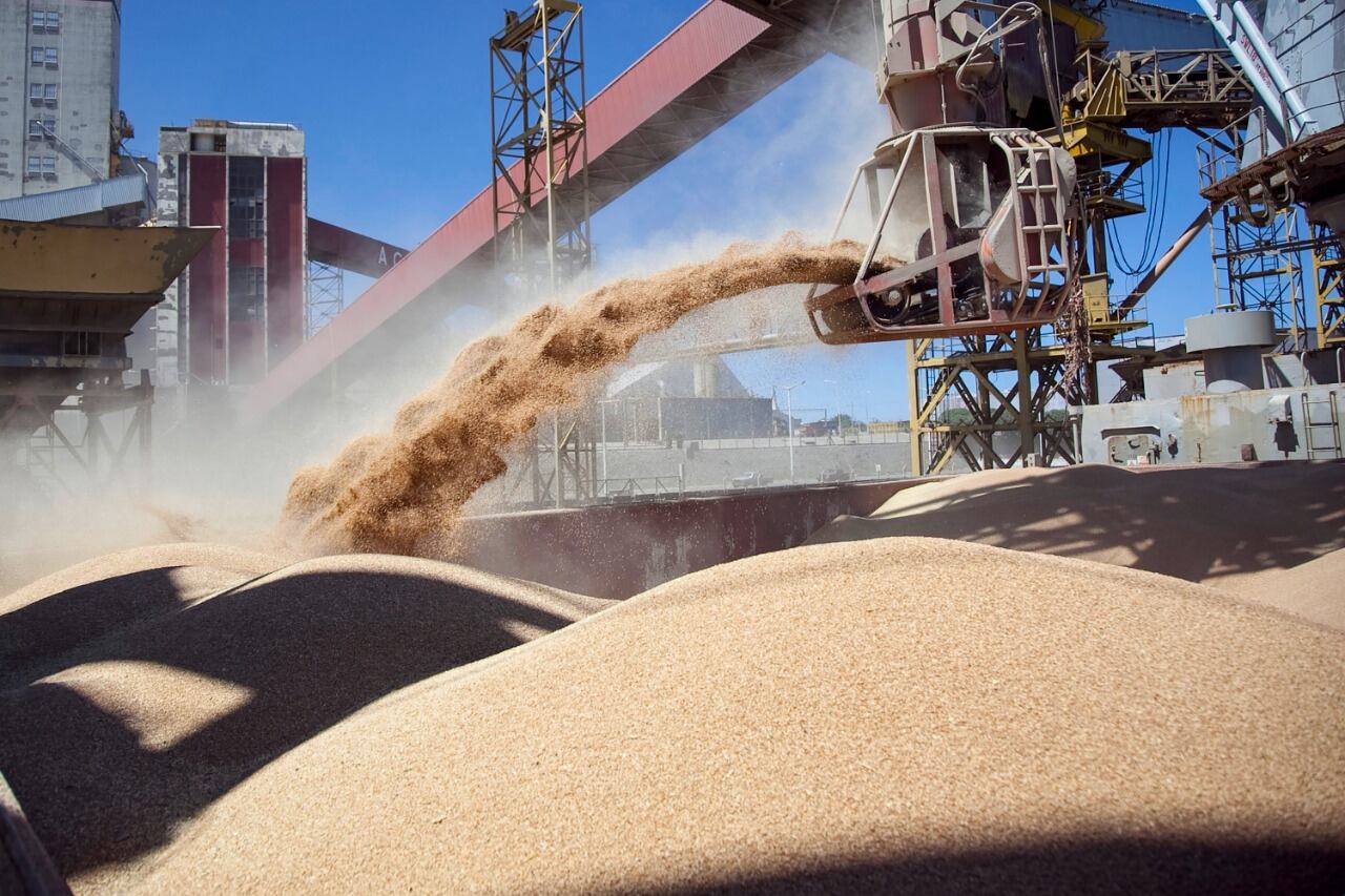 Firmas agroexportadoras, en granos y carnes, entre las infractoras detectadas por AFIP.