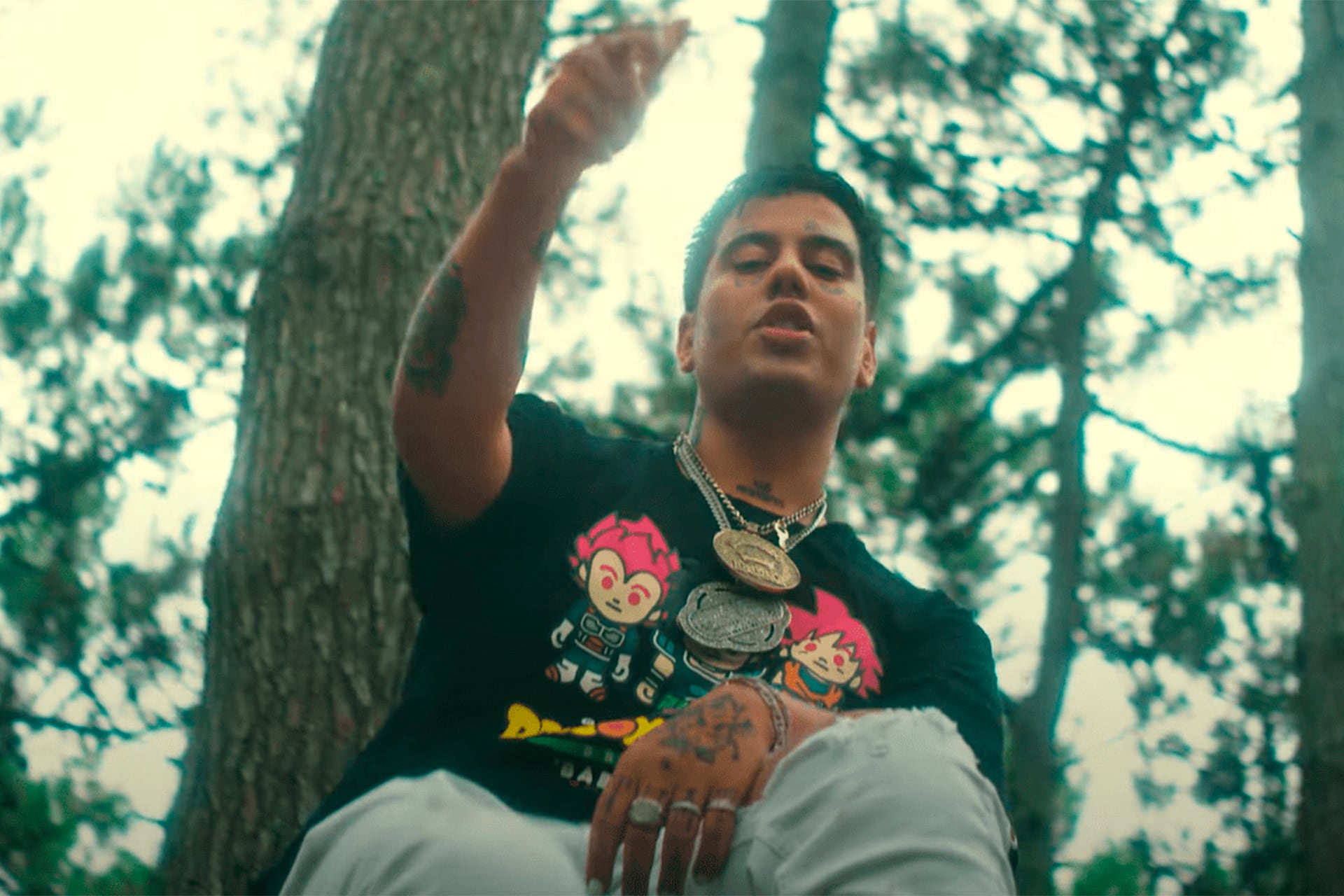 Con el amor repartido entre Dragon Ball Z, los árboles, las joditas en casas y la bijú vino el nuevo clip de Duki, Chico estrella.