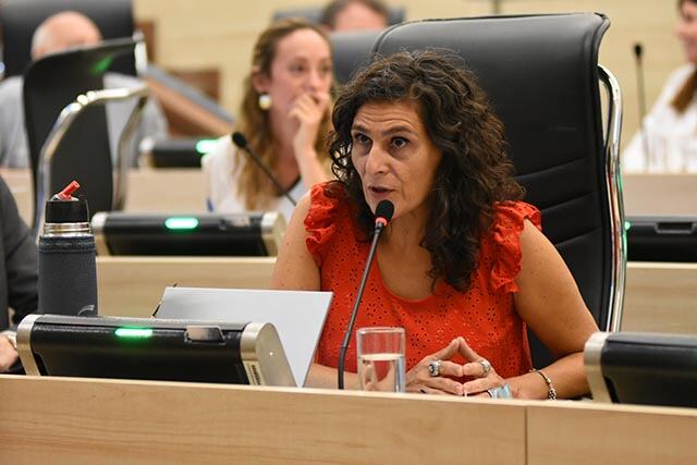 La concejala Norma López y su equipo hacen un seguimiento de femicidios.