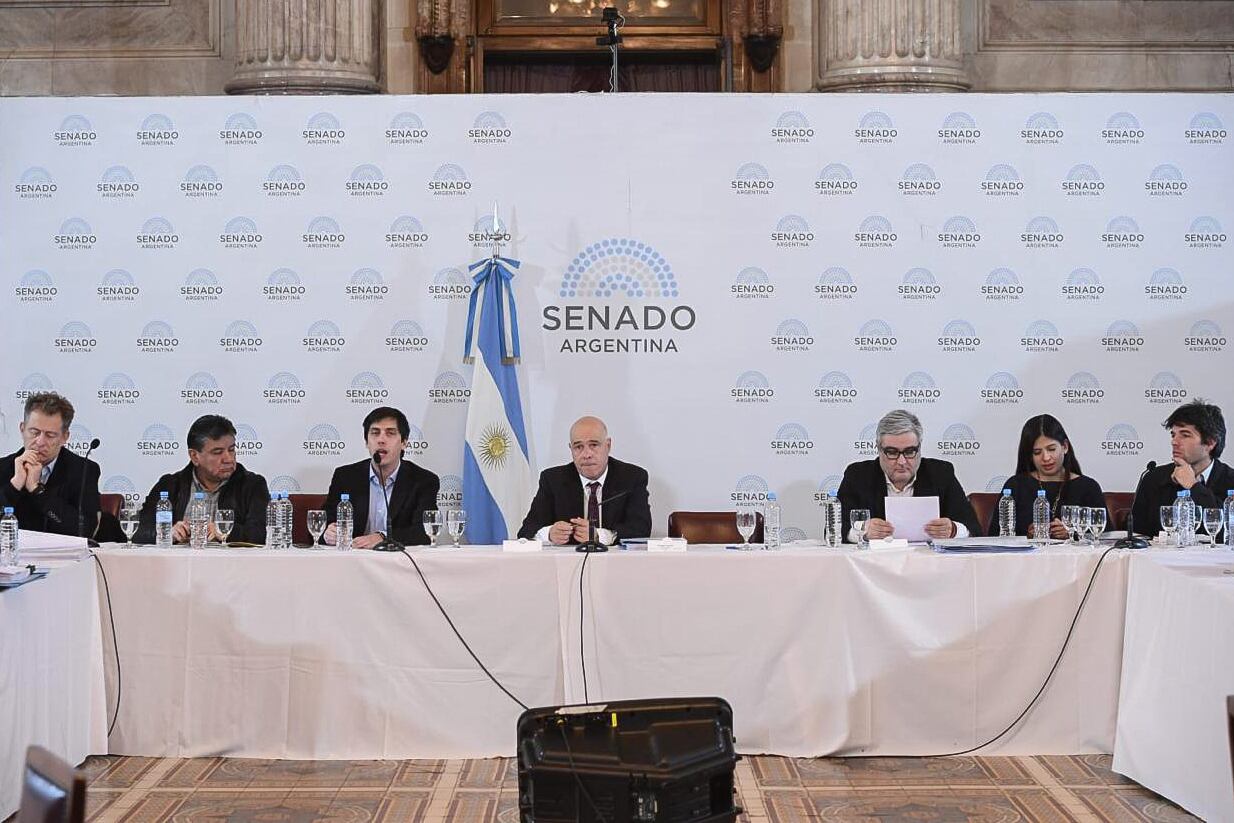 El debate en las comisiones de Presupuesto, Legislación General y Asuntos Constitucionales.
