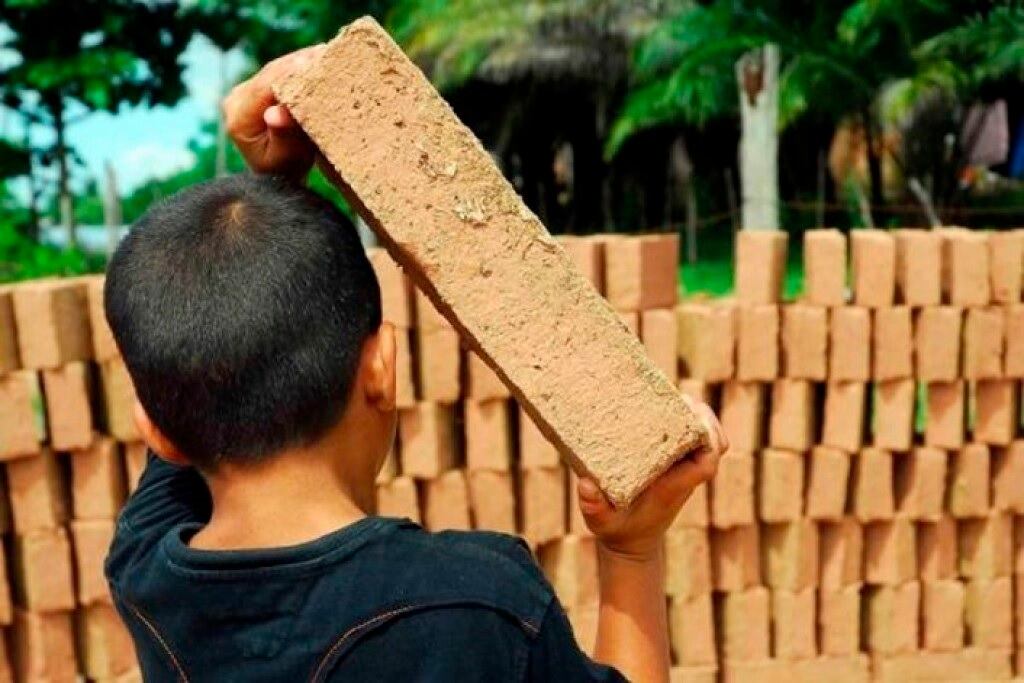 La mitad de los niños que trabaja tuvo que ayudar a su familia por la pandemia.