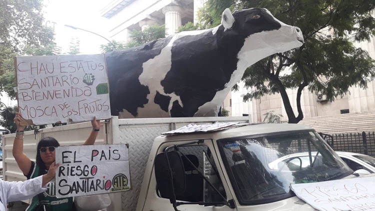 Los trabajadores del Senasa denuncian el riesgo sanitario que implican los despidos.