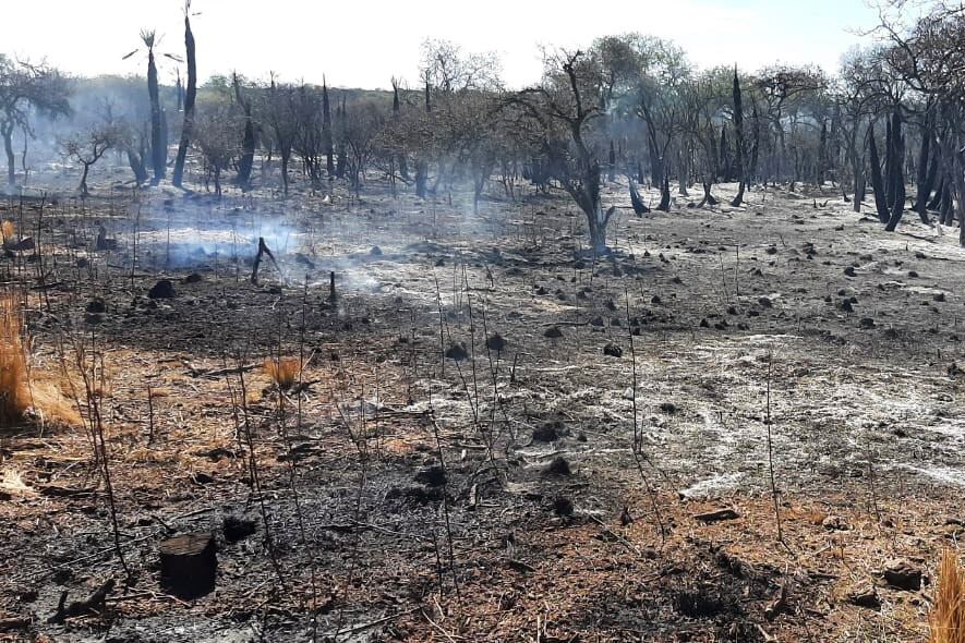 Las impactantes imágenes y videos de los incendios en Córdoba. (Foto: Gobierno de Córdoba)