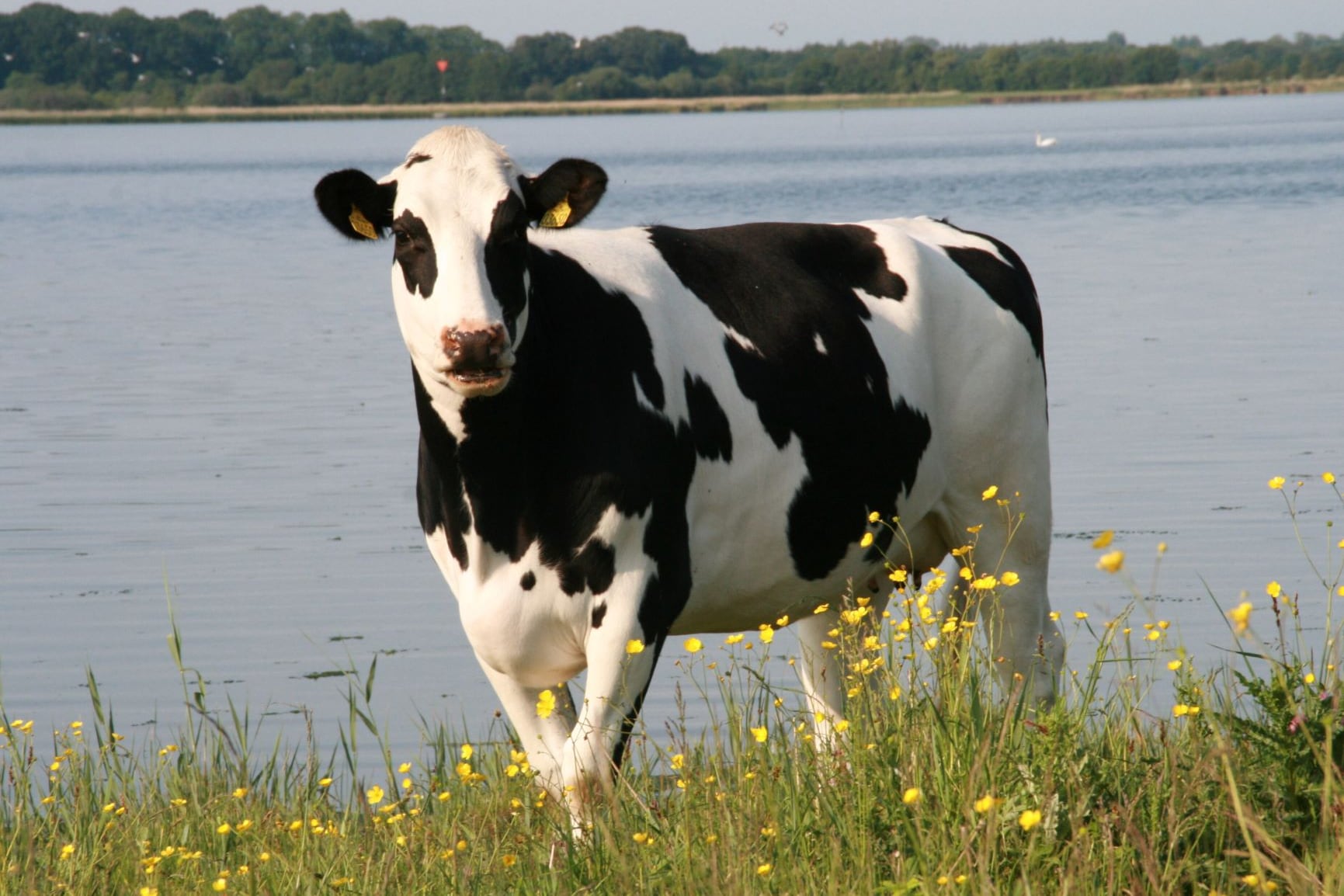 La medida llega tras meses de protestas de agricultores de toda Europa