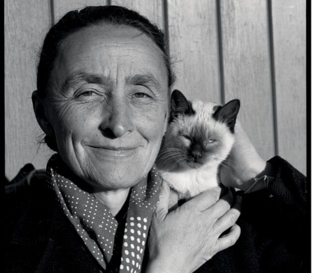 Georgia O´Keeffe y su gatitx