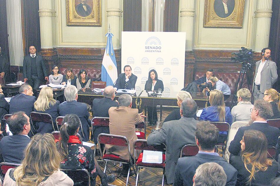 La semana pasada la Comisión de Asuntos Constitucionales firmó dictamen a favor de los allanamientos a CFK.