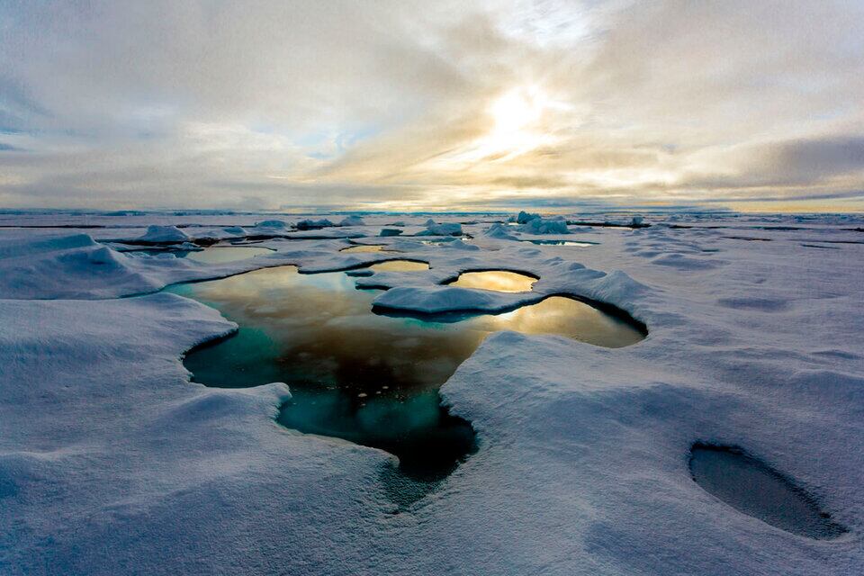 En el período interglaciar, la región de Groenlandia estuvo libre de hielo y habría estado cubierta de vegetación