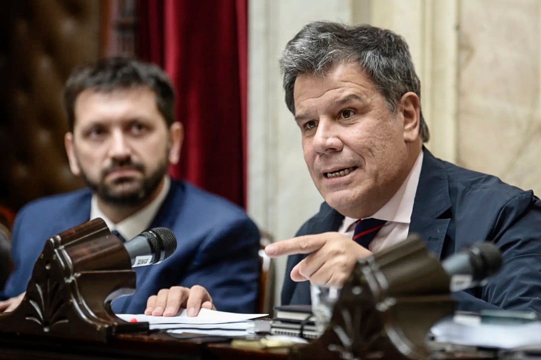 Los diputados radicales Pablo Juliano y Facundo Manes.