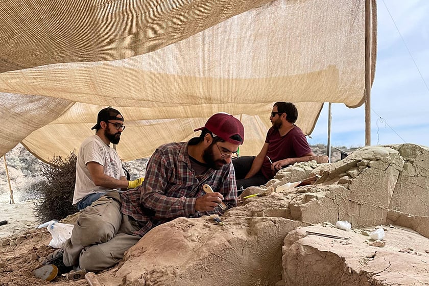 Los científicos del Conicet encontraron una garra de un dinosaurio