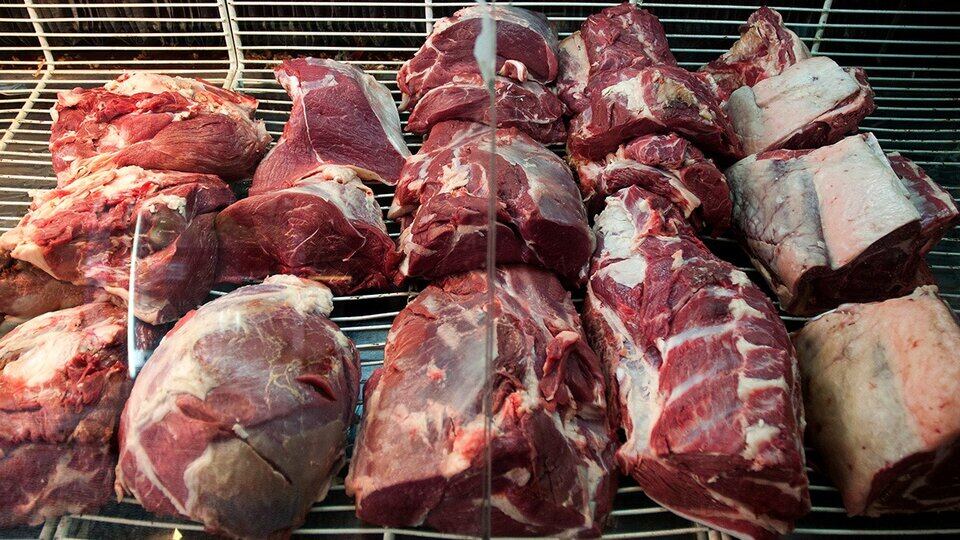 Los afectados presentaron síntomas como "vómitos, diarreas, fiebre y dolores abdominales".