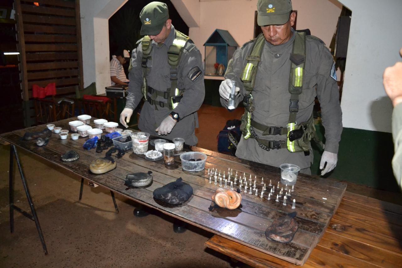 Una parte de lo secuestrado por efectivos de Gendarmería. Imagen: Ministerio de Seguridad.