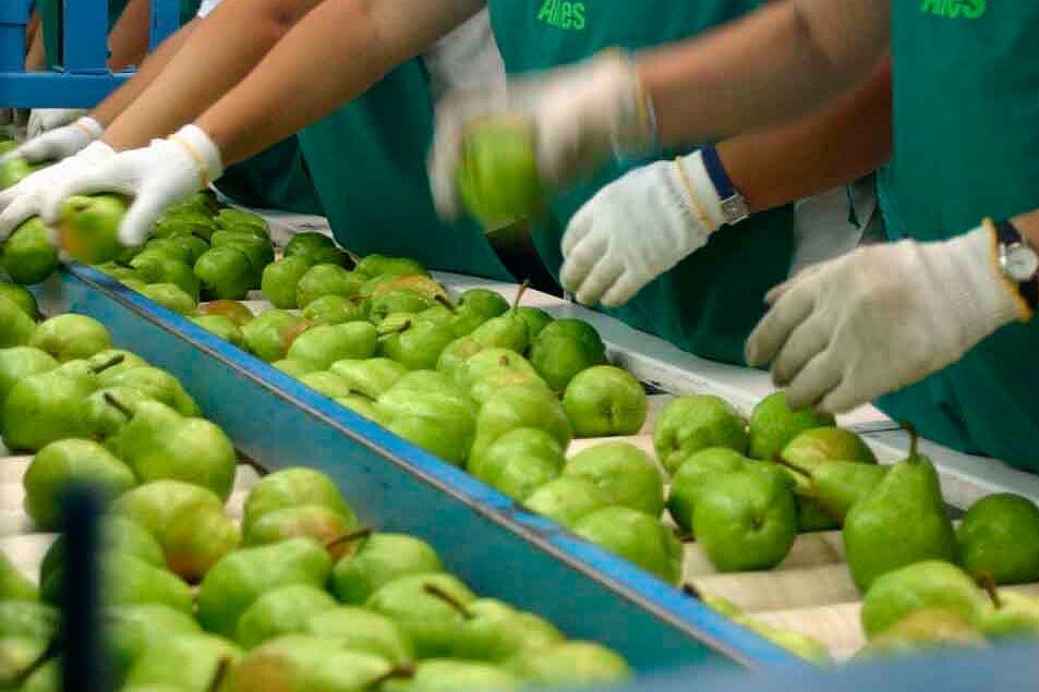 Una de las firmas suspendidas exportaba frutas y legumbres.
