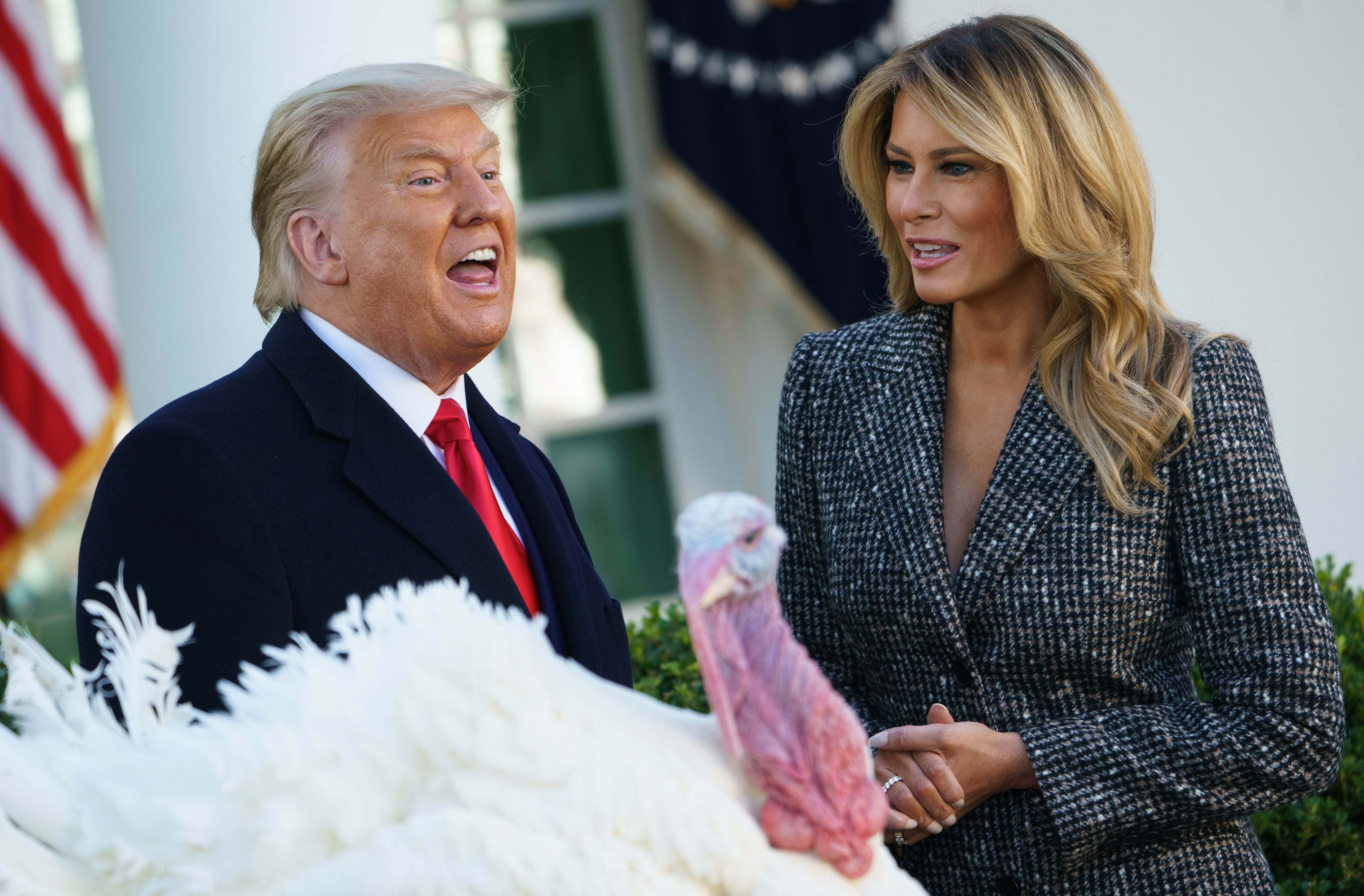 Donald Trump con su esposa Melania y el pavo perdonado por el Día de Gracias