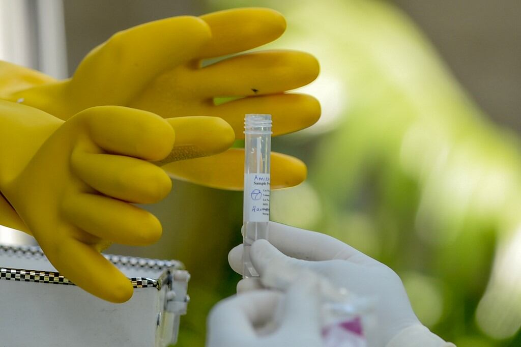 Qué sabemos hasta ahora sobre la pandemia de COVID-19.