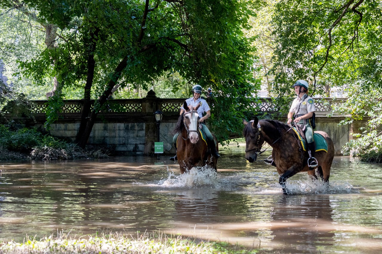 Muchas víctimas quedaron atrapadas en sotanos o en sus autos. 