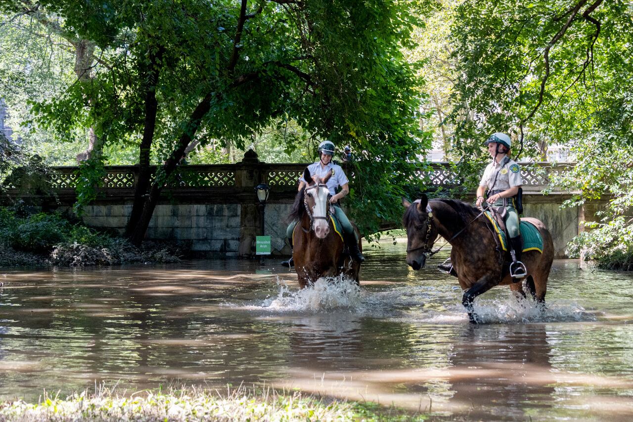 Muchas víctimas quedaron atrapadas en sotanos o en sus autos.