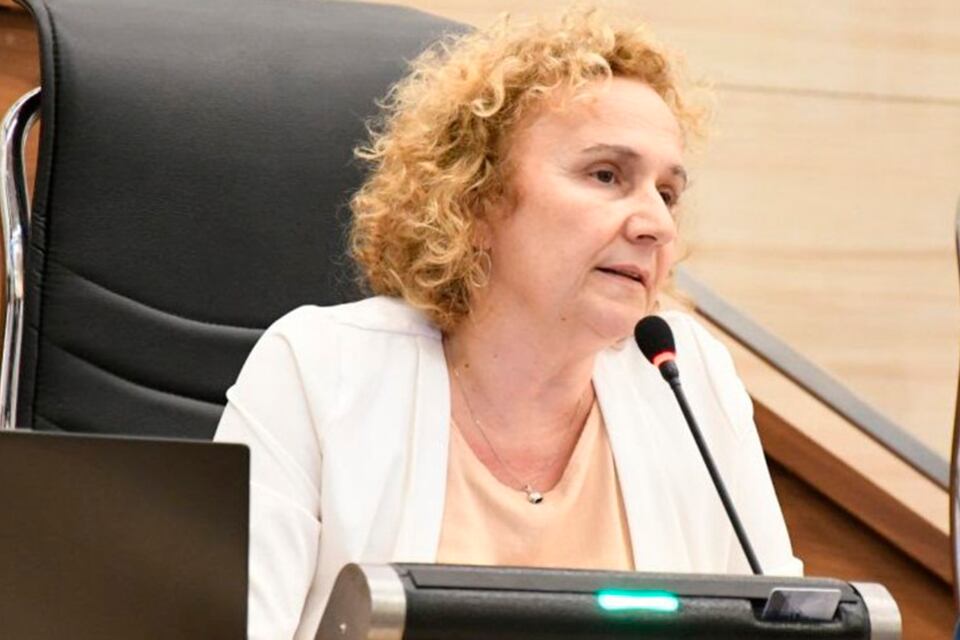Concejala Alicia Pino, autora del proyecto